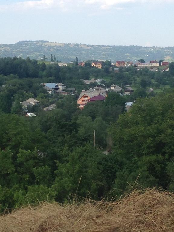 Pensiunea Colt De Rai Săcel Dış mekan fotoğraf