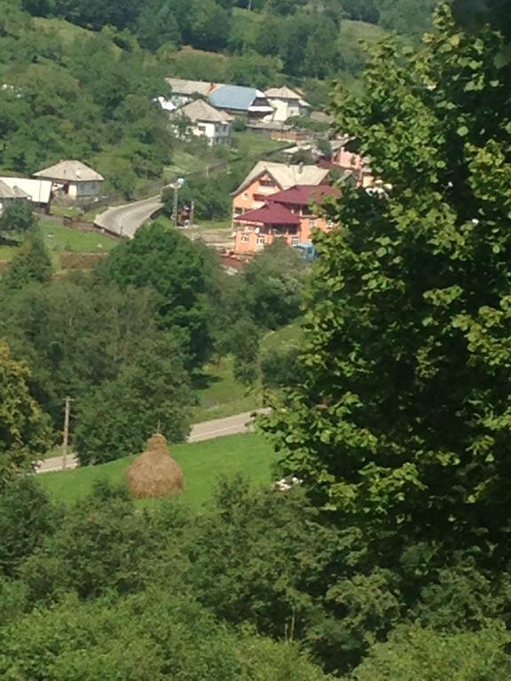 Pensiunea Colt De Rai Săcel Dış mekan fotoğraf
