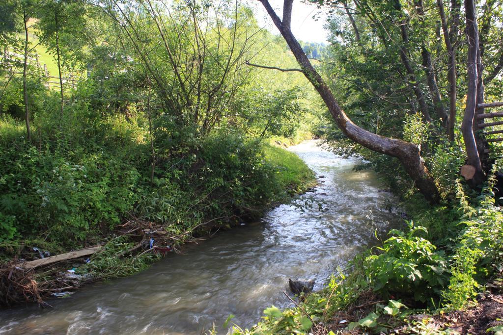 Pensiunea Colt De Rai Săcel Dış mekan fotoğraf