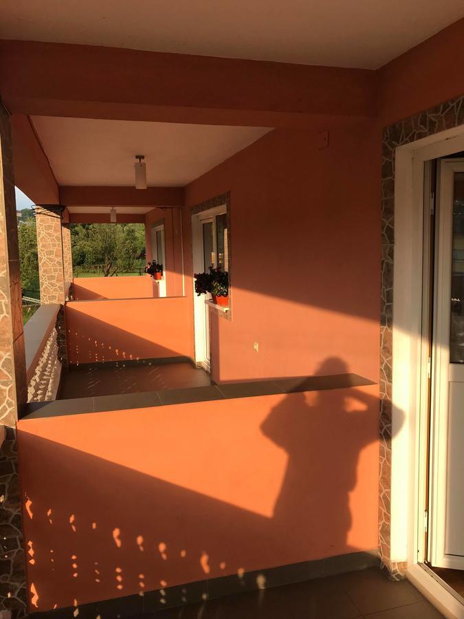 Pensiunea Colt De Rai Săcel Dış mekan fotoğraf